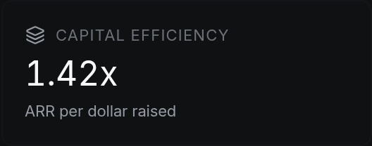 Capital efficiency